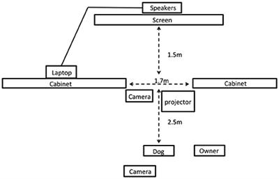 Endogenous Oxytocin, Vasopressin, and Aggression in Domestic Dogs